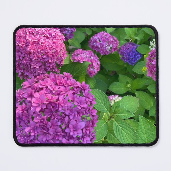 Item preview, Hydrangea Harmony designed and sold by JapanStudio123.