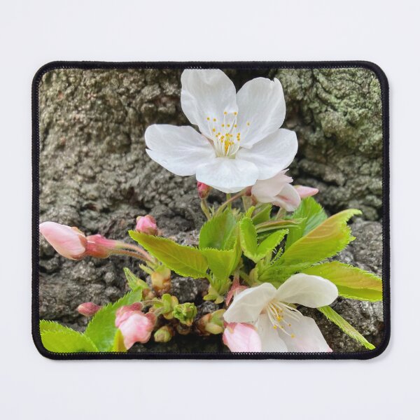 Item preview, Blooming from Within designed and sold by JapanStudio123.