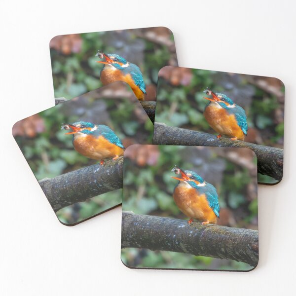 Item preview, Kingfisher (Alcedo atthis) with fish designed and sold by Stephen Jarman.