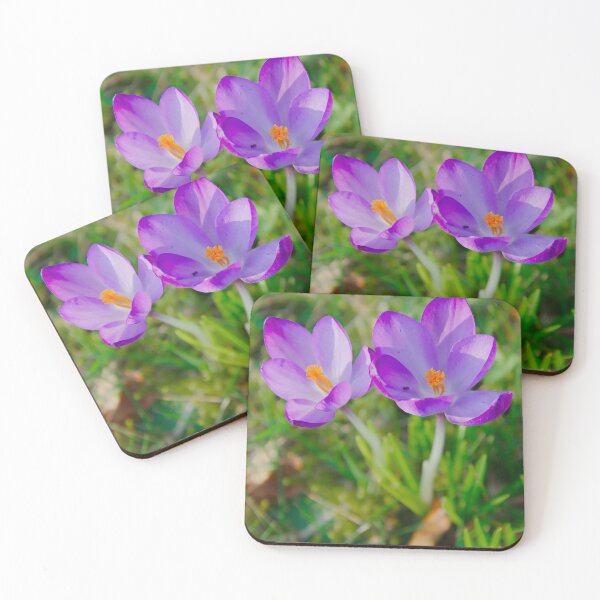 Item preview, Purple Crocus Bloom – Early Spring Sunlight designed and sold by ShotsbyDesiree.