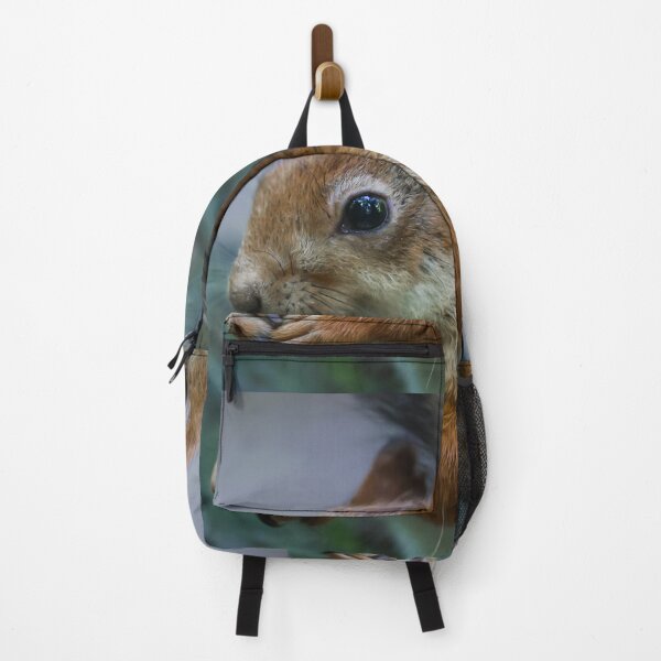 Item preview, Curious squirrel designed and sold by NorthWild.