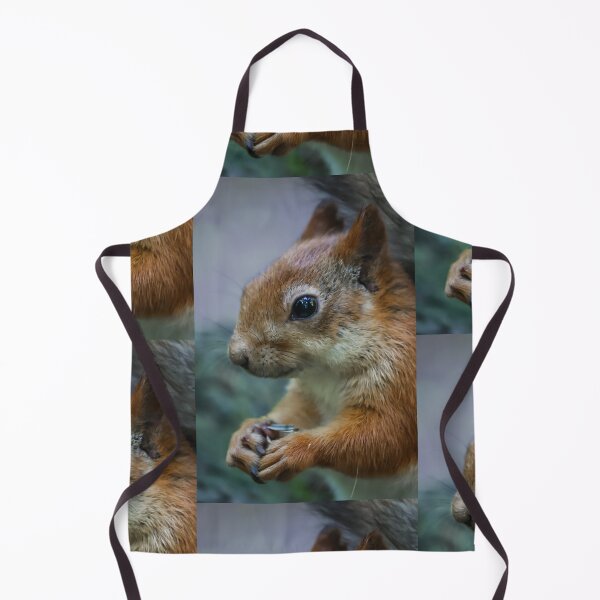 Item preview, Curious squirrel designed and sold by NorthWild.
