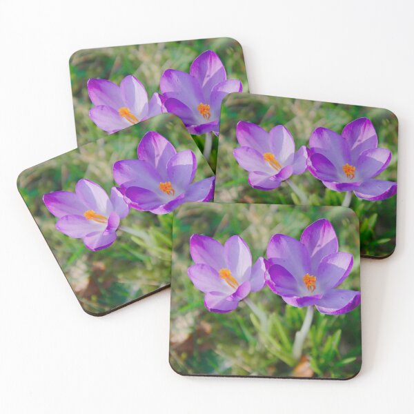 Item preview, Purple Crocus Duo – Spring Sunshine Macro designed and sold by ShotsbyDesiree.