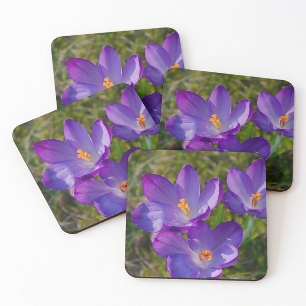Item preview, Purple Crocus Trio – Spring Blooms designed and sold by ShotsbyDesiree.