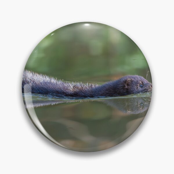 Item preview, American Mink (Neogale vison) gliding through the canal  designed and sold by Stephen Jarman.