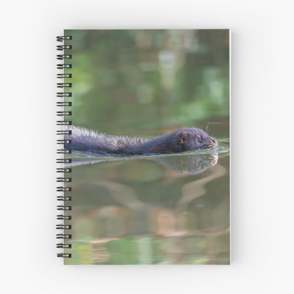 Item preview, American Mink (Neogale vison) gliding through the canal  designed and sold by Stephen Jarman.