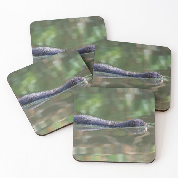 Item preview, American Mink (Neogale vison) gliding through the canal  designed and sold by Stephen Jarman.