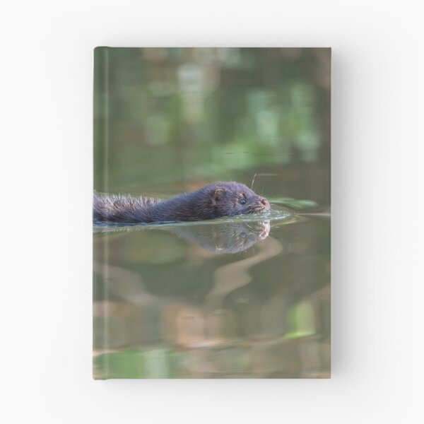 Item preview, American Mink (Neogale vison) gliding through the canal  designed and sold by Stephen Jarman.