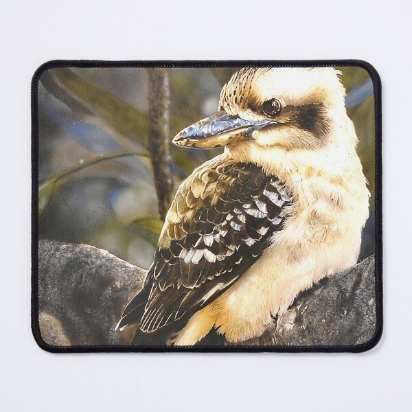 Item preview, Kookaburra in Australian Bush painting designed and sold by Samgalerart.