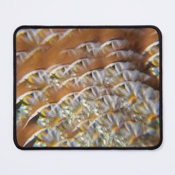 Item preview, Patterned Waves Floral Abstract designed and sold by ElionSolis.