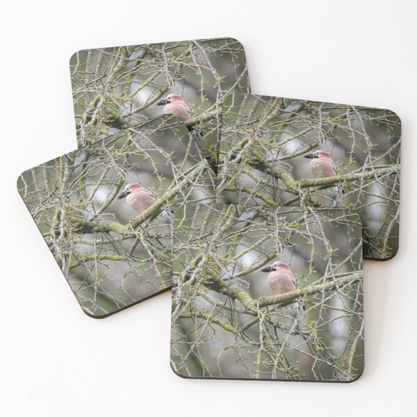 Item preview, Eurasian jay (Garrulus glandarius)  designed and sold by Stephen Jarman.