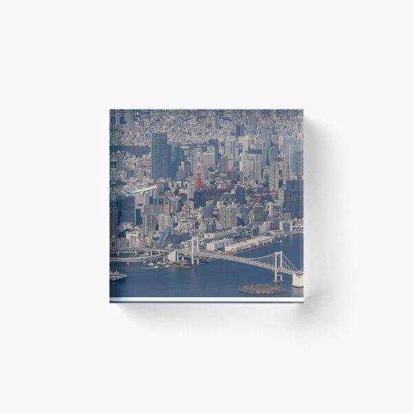 Item preview, Aerial View of Airplane Takeoff over Tokyo Skyline Haneda Airport designed and sold by YSJapanPhoto.