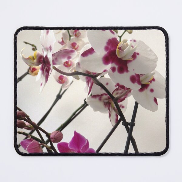 Item preview, White and Purple Orchids designed and sold by Betulek.