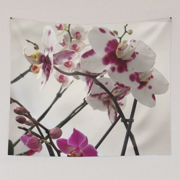 Item preview, White and Purple Orchids designed and sold by Betulek.