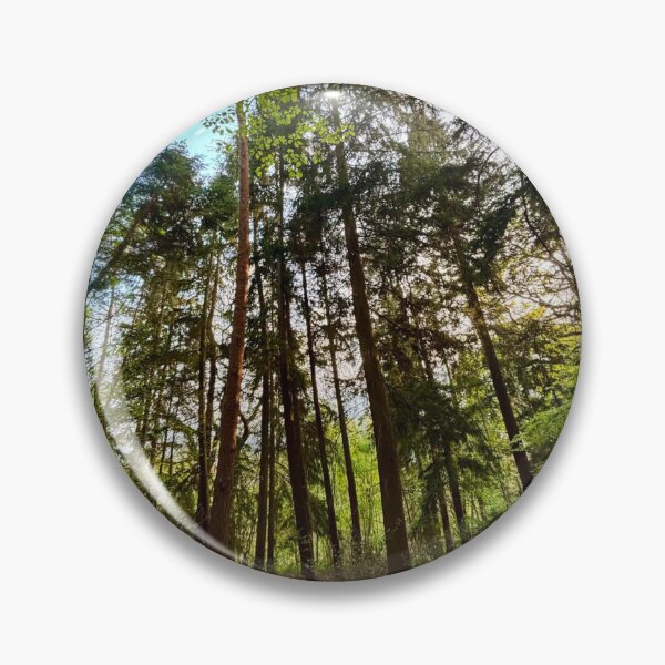 Item preview, Towering Pine Trees in Surrey Woodland designed and sold by ThatSurreyLife.