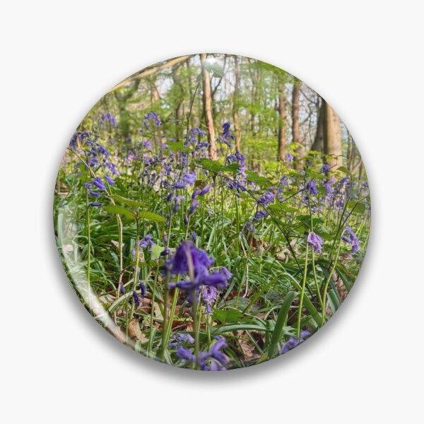 Item preview, Bluebells Among Woodland Trees in Surrey designed and sold by ThatSurreyLife.