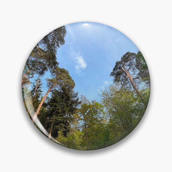 Item preview, Forest Path Through Surrey Woodland designed and sold by ThatSurreyLife.