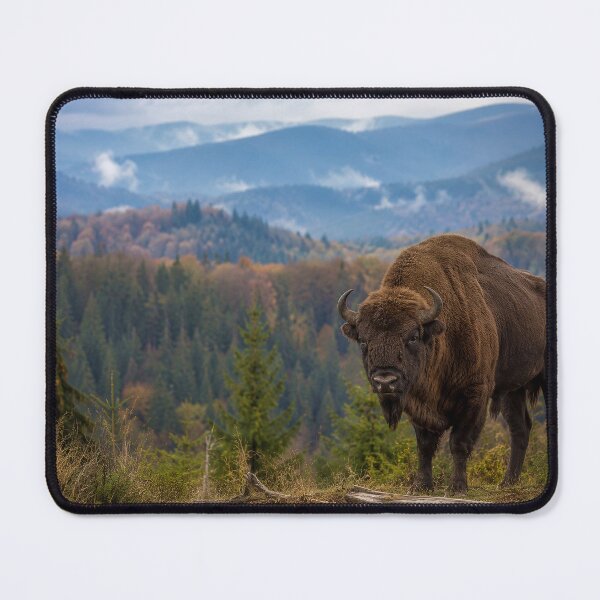 Item preview, European Bison in Forest Landscape | Majestic Wild Wisent Nature Photography designed and sold by JMDG Studio.