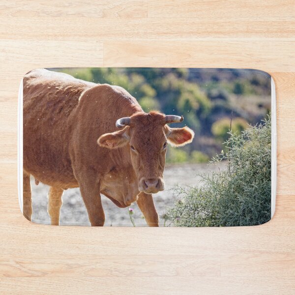Item preview, A Spanish Cow in the morning sun designed and sold by TomRomanPhotos.