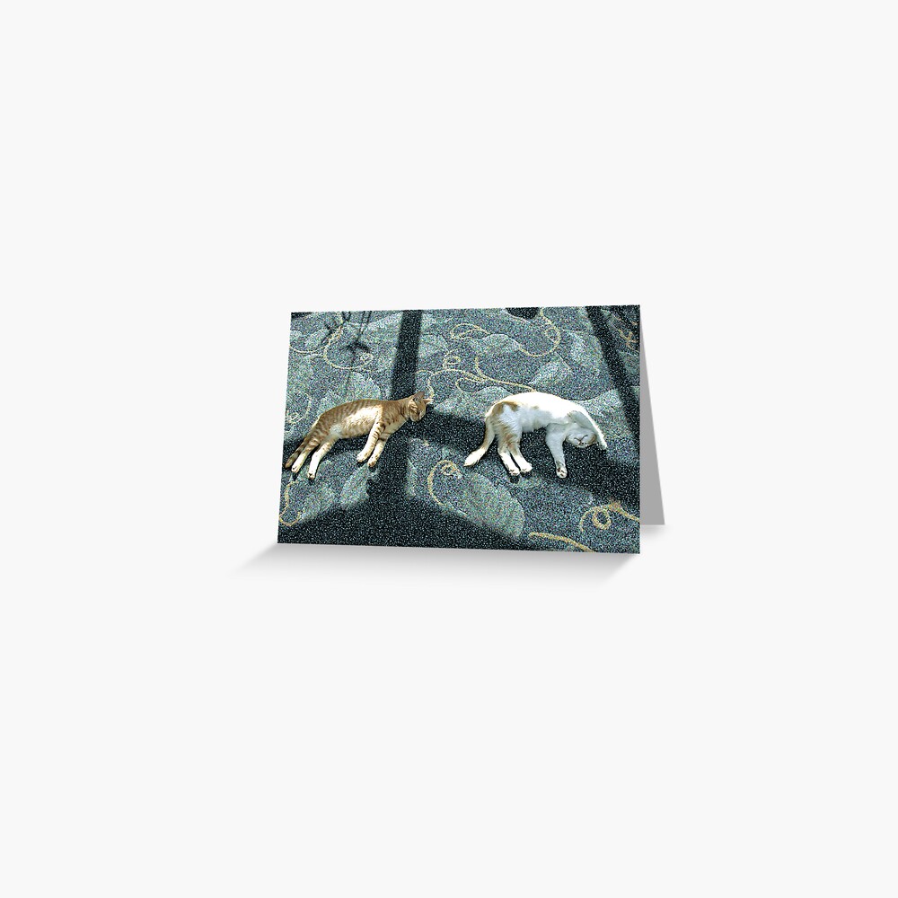 Floating Dreams Greeting Card