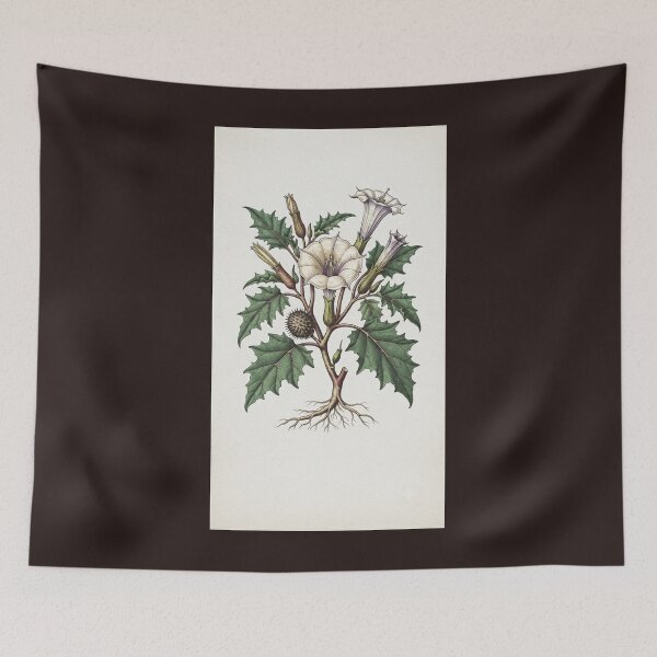 Item preview, Vintage Botanical Illustration of Datura Metel designed and sold by  Color & Form.