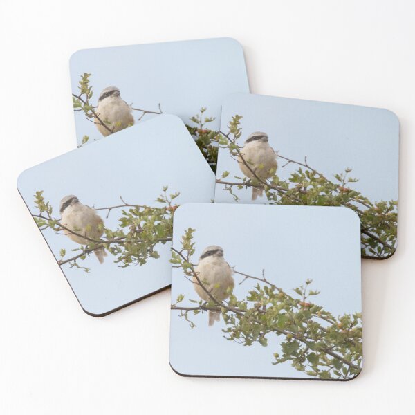 Item preview, Long Tailed Shrike designed and sold by LaurenTucker.