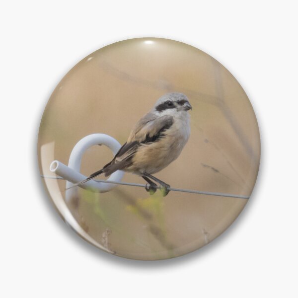Item preview, Long Tailed Shrike designed and sold by LaurenTucker.