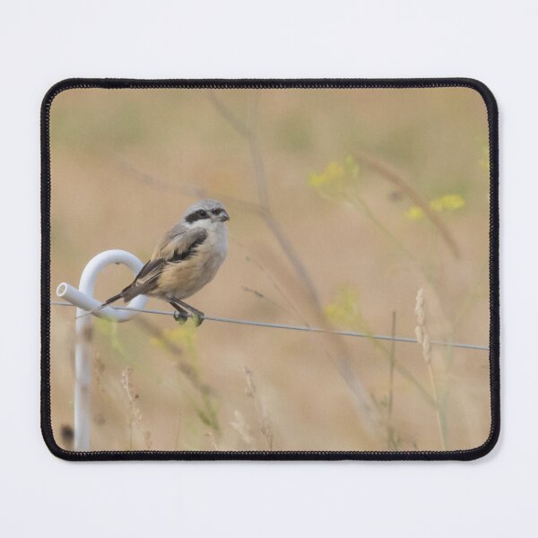 Item preview, Long Tailed Shrike designed and sold by LaurenTucker.