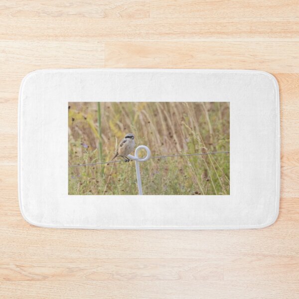 Item preview, Long Tailed Shrike designed and sold by LaurenTucker.