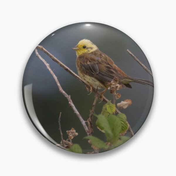 Item preview, Yellowhammer designed and sold by LaurenTucker.