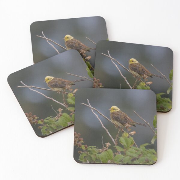 Item preview, Yellowhammer designed and sold by LaurenTucker.