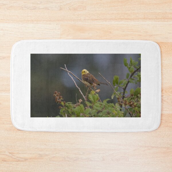 Item preview, Yellowhammer designed and sold by LaurenTucker.