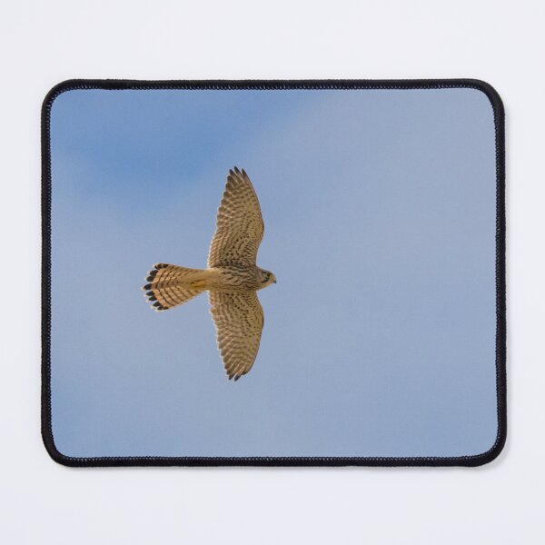 Item preview, Common Kestrel designed and sold by LaurenTucker.