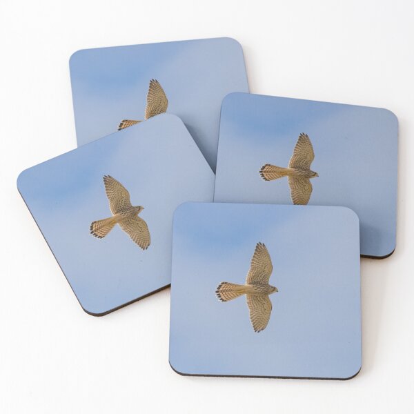 Item preview, Common Kestrel designed and sold by LaurenTucker.