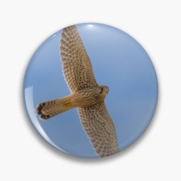 Item preview, Common Kestrel designed and sold by LaurenTucker.