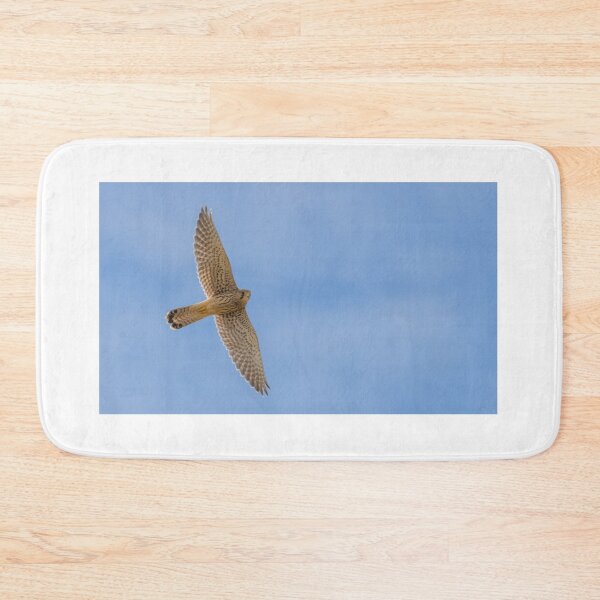 Item preview, Common Kestrel designed and sold by LaurenTucker.