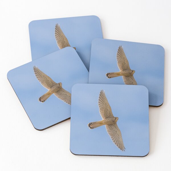 Item preview, Common Kestrel designed and sold by LaurenTucker.