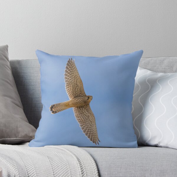 Item preview, Common Kestrel designed and sold by LaurenTucker.