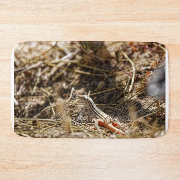 Item preview, Spiny-Footed Lizard in Spain (1) designed and sold by TomRomanPhotos.