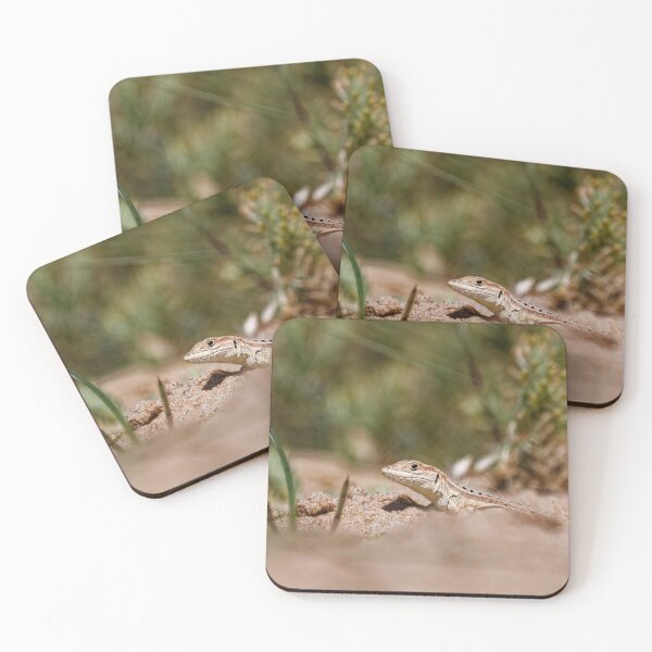 Item preview, Spiny-Footed Lizard in Spain (2) designed and sold by TomRomanPhotos.
