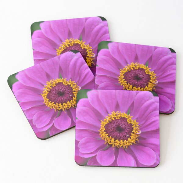 Item preview, I'm ready for my closeup!  designed and sold by vbrassington.