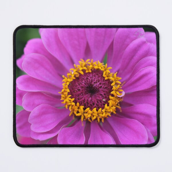 Item preview, I'm ready for my closeup!  designed and sold by vbrassington.