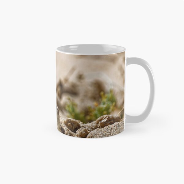 Item preview, Spiny-Footed Lizard in Spain (3) designed and sold by TomRomanPhotos.