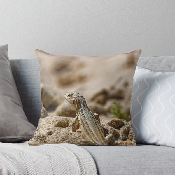 Item preview, Spiny-Footed Lizard in Spain (3) designed and sold by TomRomanPhotos.