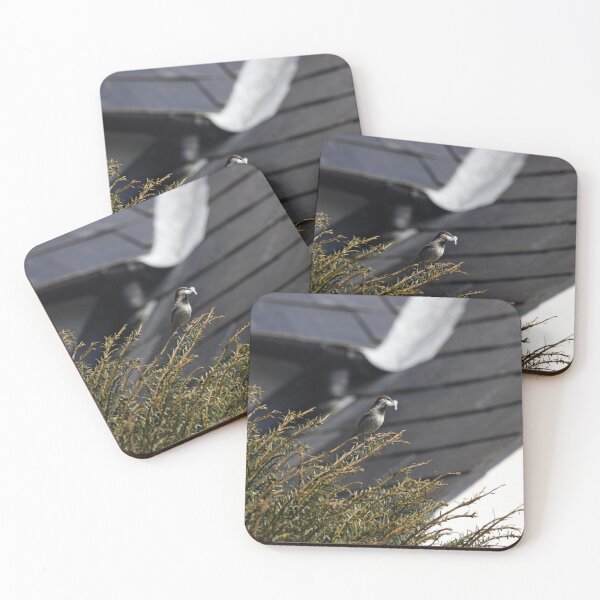 Item preview, A House Sparrow carrying some feathers designed and sold by TomRomanPhotos.