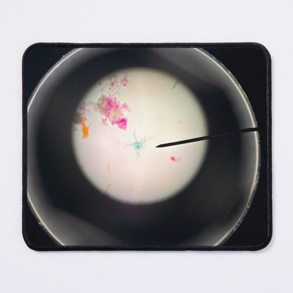 Item preview, Amoeba Under Microscope  designed and sold by HKGimages.