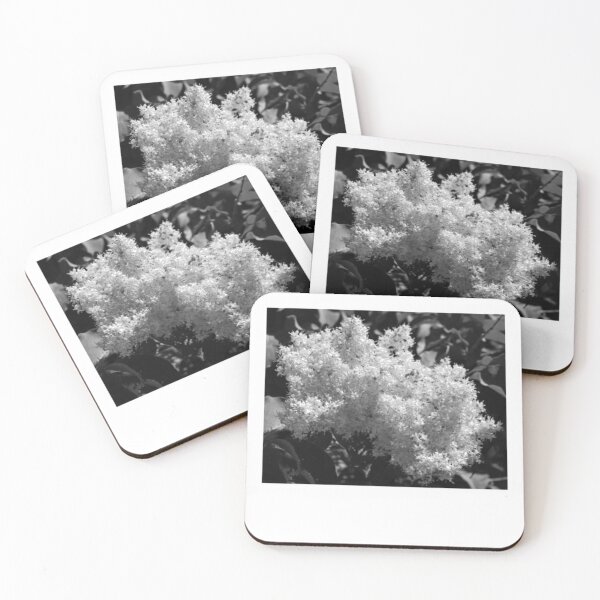 Item preview, White Flower Cluster Black and White Photography designed and sold by loonburttonDF.