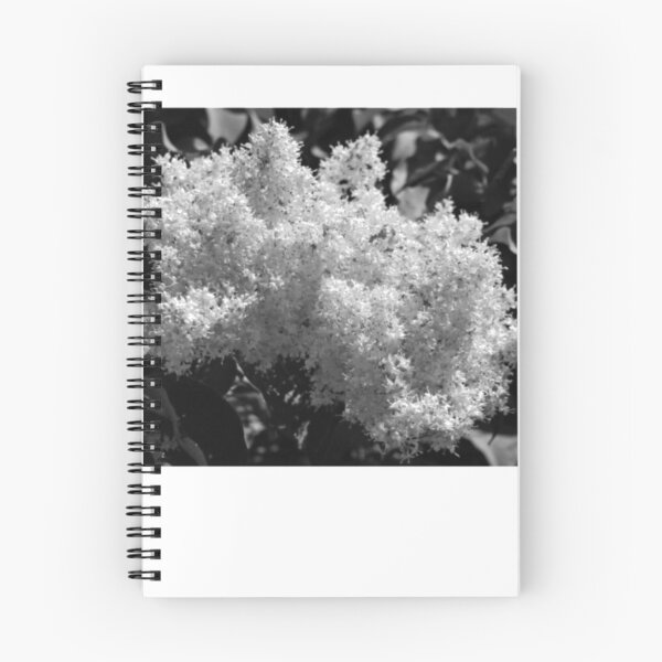 Item preview, White Flower Cluster Black and White Photography designed and sold by loonburttonDF.