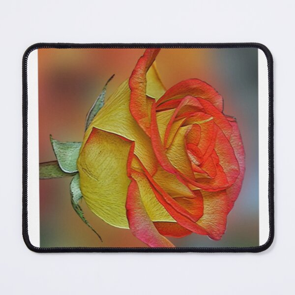 Item preview, Orange Rose Close Up Botanical Portrait designed and sold by loonburttonDF.