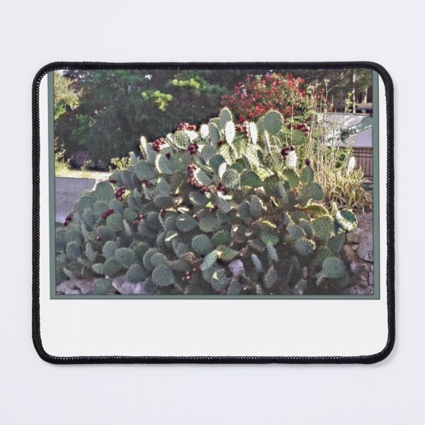 Item preview, Flowering Prickly Pear Cactus Garden Scene designed and sold by loonburttonDF.